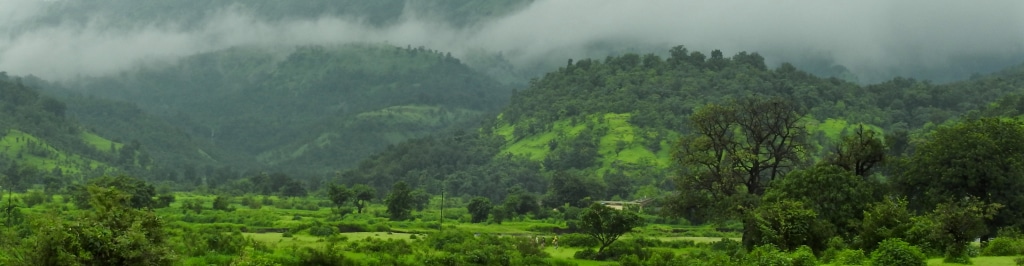 An Experience of Rural India in Dehene, Maharashtra