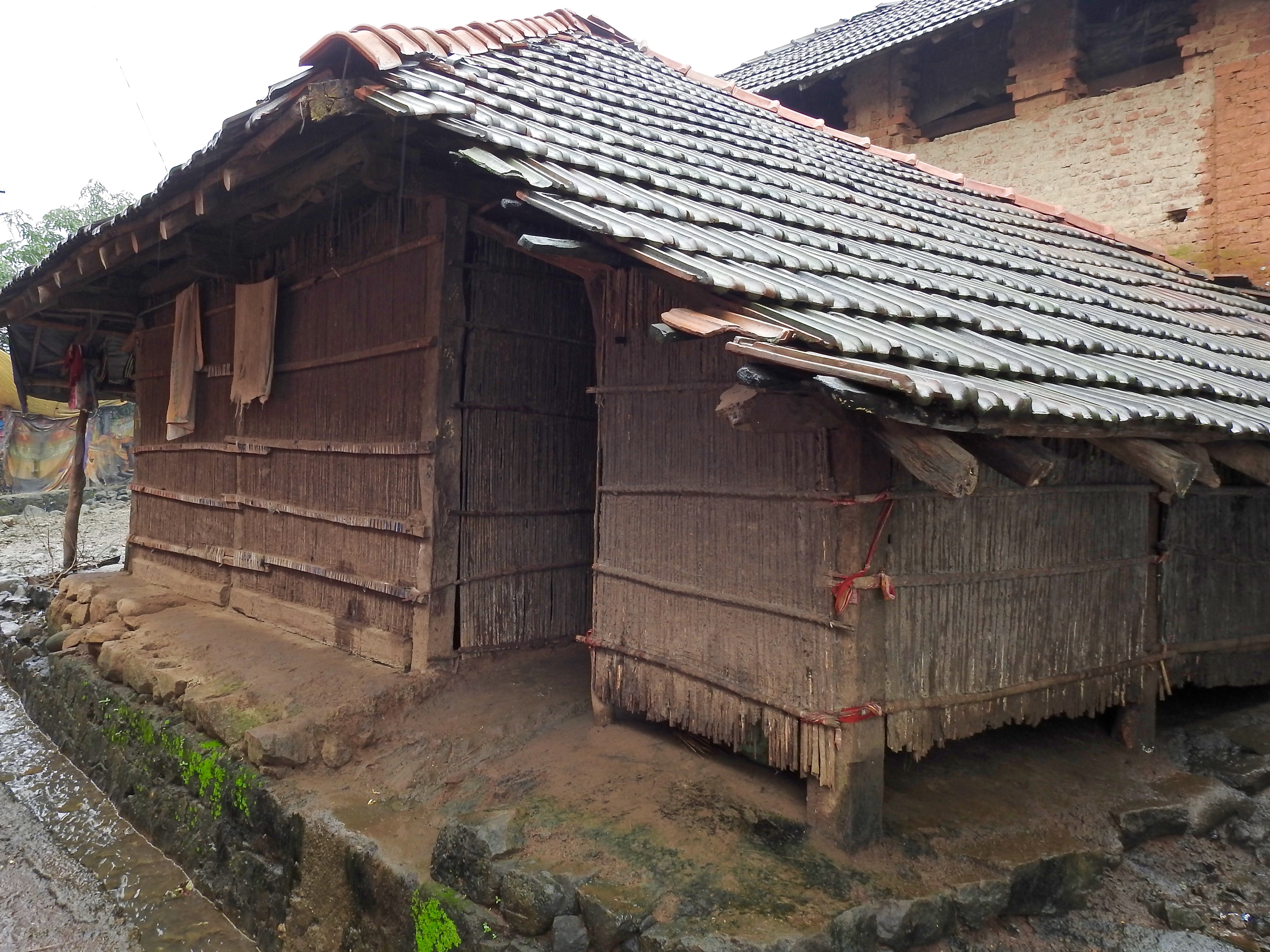 A tribal house with walls made of karvy sticks held together by a plaster of cow dung mixed with mud