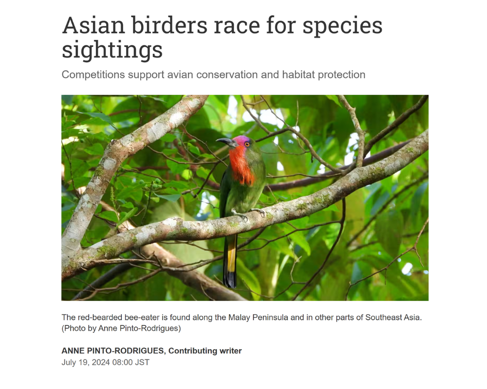 Nikkei asia 2 - Asian birders race for species sightings