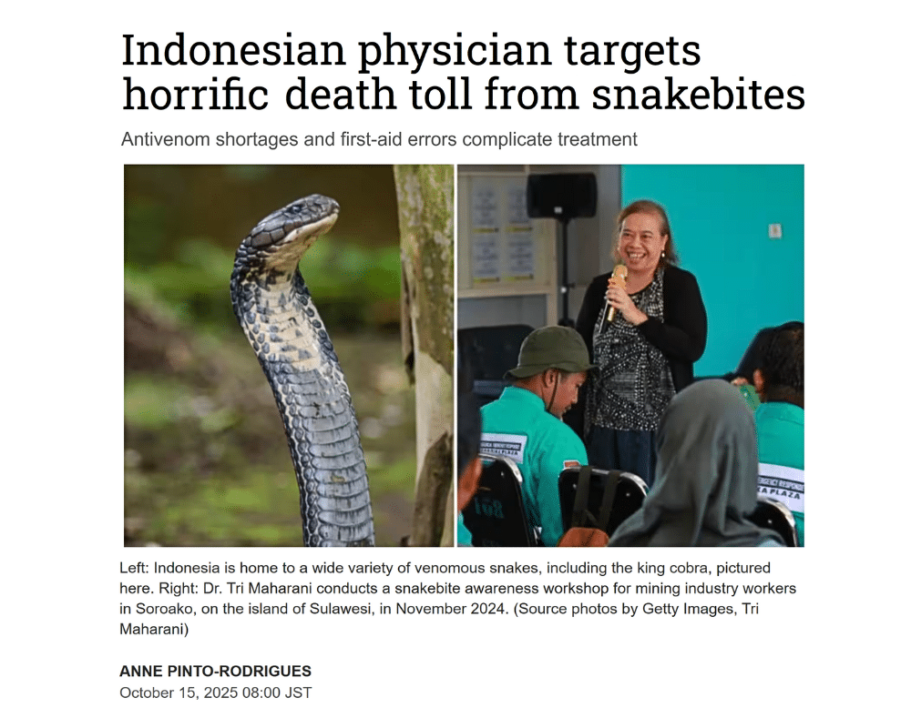 Nikkei asia Indonesian physician targets horrific death toll from snakebites