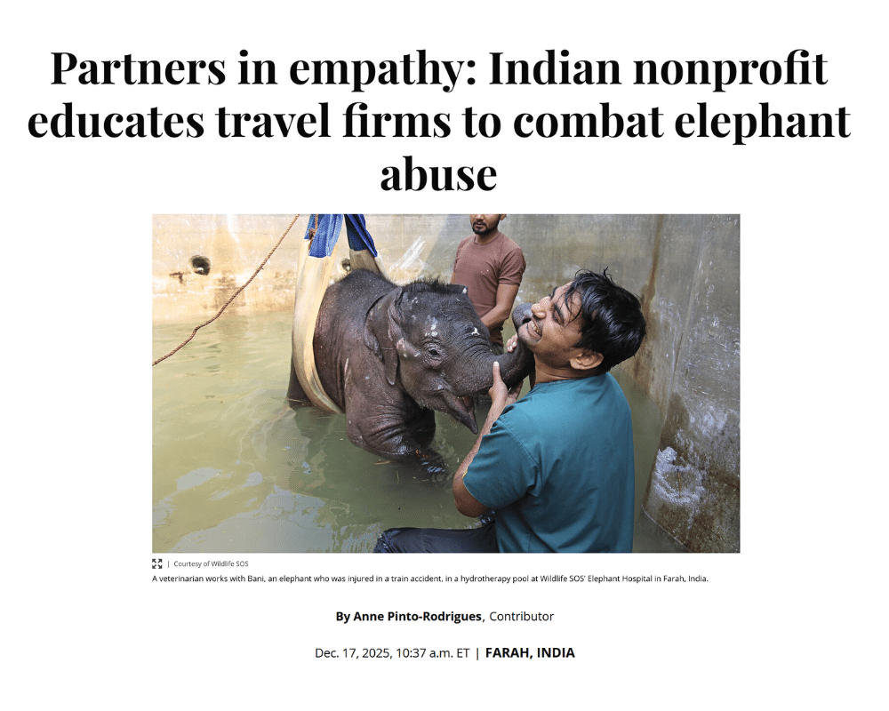 CS Monitor - Indian nonprofit educates travel firms to combat elephant abuse