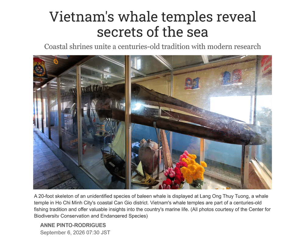 Nikkei asia - Vietnam's whale temples