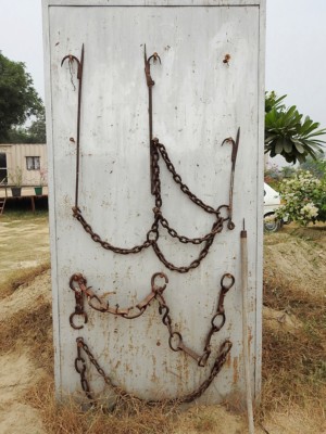 Some of the sharp tools used by handlers to inflict pain and thus, control the elephant.