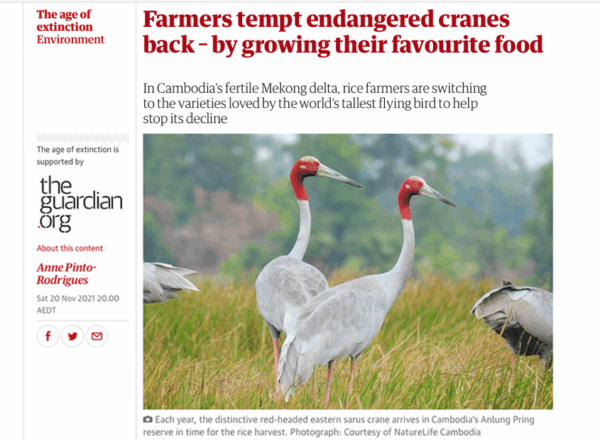 guardian 12