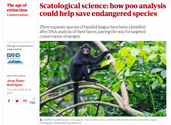 guardian 8