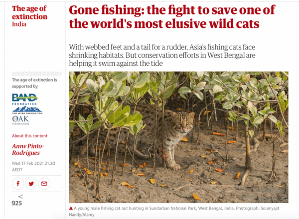 guardian 9